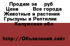 Продам за 50 руб. › Цена ­ 50 - Все города Животные и растения » Грызуны и Рептилии   . Калужская обл.